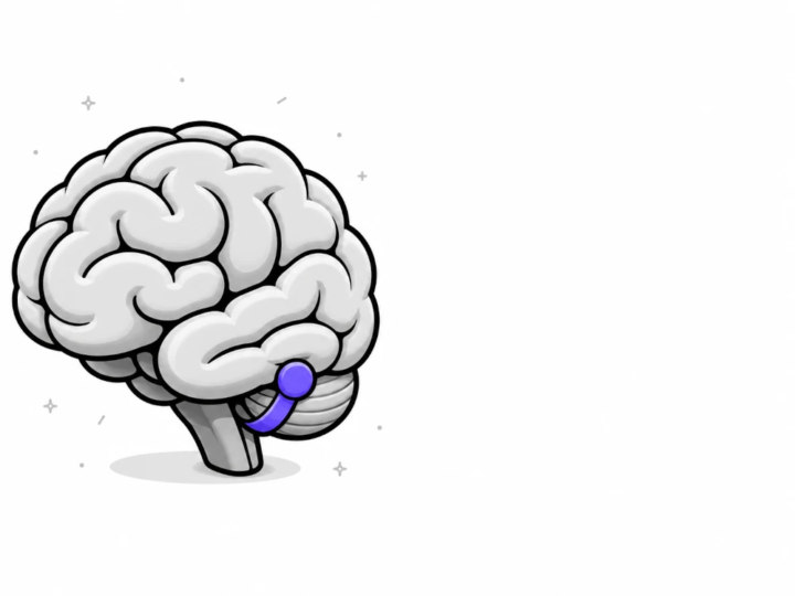 Turnos y neuroproductividad